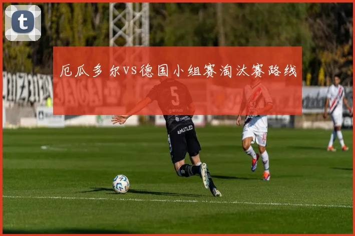厄瓜多尔vs德国小组赛淘汰赛路线