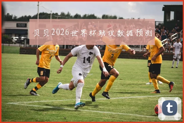 贝贝2026世界杯助攻数据预测