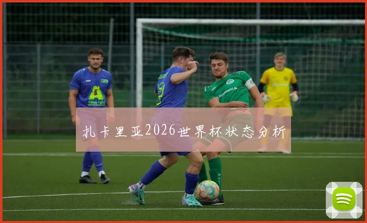 扎卡里亚2026世界杯状态分析