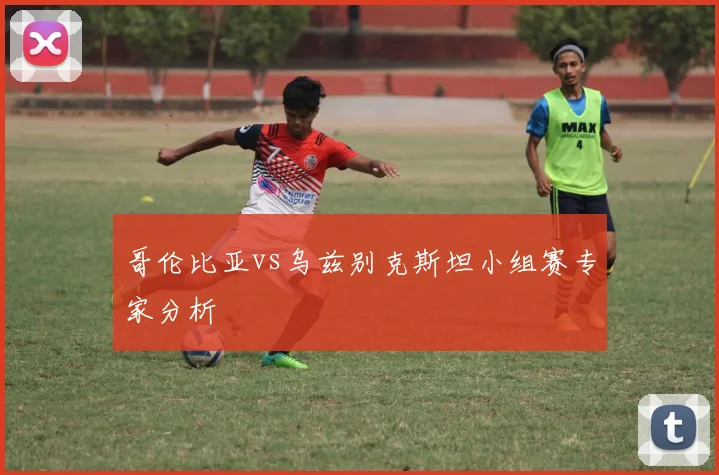 哥伦比亚vs乌兹别克斯坦小组赛专家分析