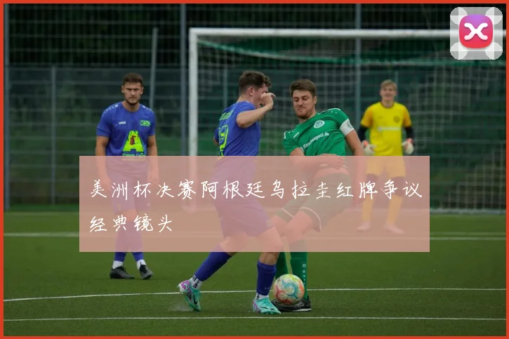 美洲杯决赛阿根廷乌拉圭红牌争议经典镜头
