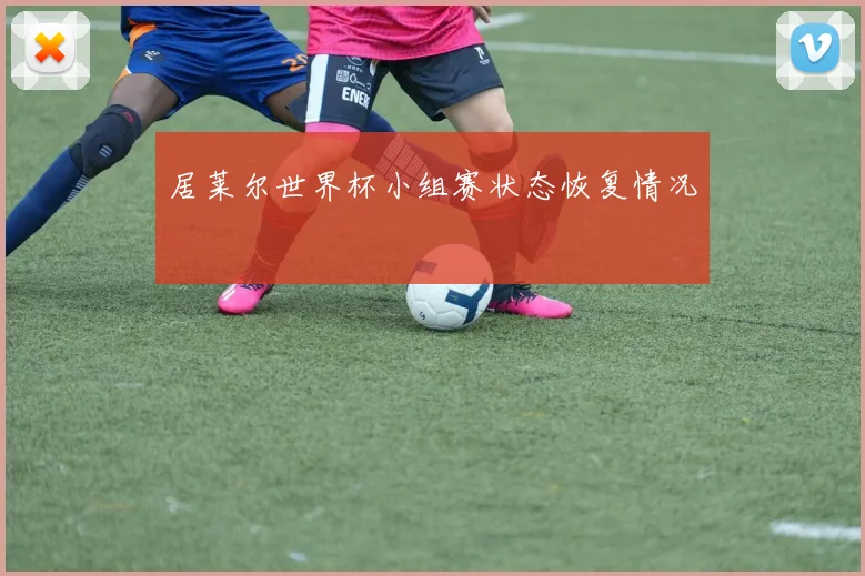 居莱尔世界杯小组赛状态恢复情况
