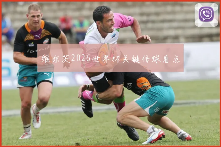 维尔茨2026世界杯关键传球看点