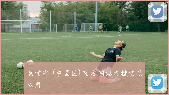满堂彩 (中国区)官方网站内搜索怎么用