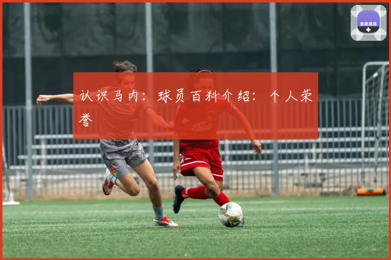 认识马内：球员百科介绍：个人荣誉